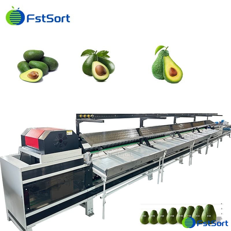 images/1709543377954avocado processing machine.jpg